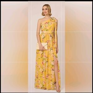 Adrianna Papell One Shoulder Chiffon Dress